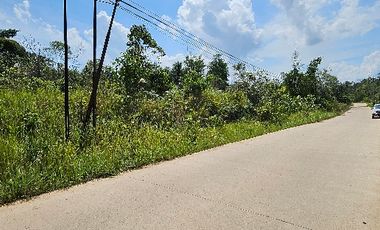 DIJUAL TANAH KAVLING Bukit Doa Kalimantan