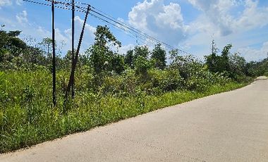 DIJUAL TANAH KAVLING Bukit Doa Kalimantan