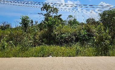 DIJUAL TANAH KAVLING Bukit Doa Kalimantan