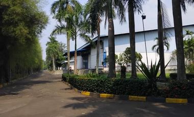 Disewakan Gudang Dan Office Di Kawasan Trans Heksa Karawang