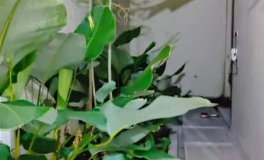 Jual Cepat || Rumah Bagus Luas Dekat Taman Jayawijaya MJ9