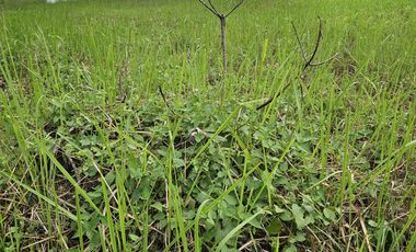 Dijual Tanah Kavling Grand City Hayland