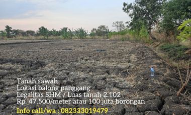 Tanah sawah termurah lokasi balong panggang gresik