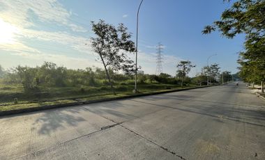 Disewakan Tanah di Delta Silicon, Lippo Cikarang