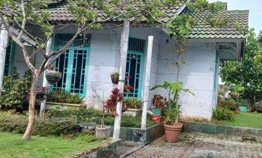 Jual cepat Villa Siap Huni Palm Garden, Cipanas ,Kab.Cianjur (SA)