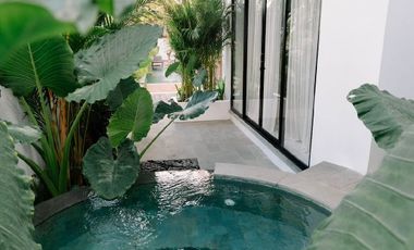 Luxury Villa Baru View Sawah di Ubud, Cocok untuk Pribadi & Investasi