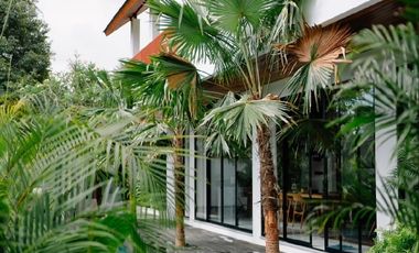 Luxury Villa Baru View Sawah di Ubud, Cocok untuk Pribadi & Investasi