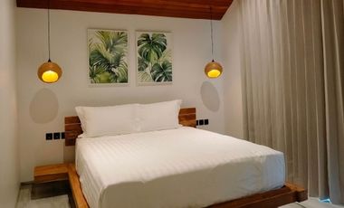 Luxury Villa Baru View Sawah di Ubud, Cocok untuk Pribadi & Investasi