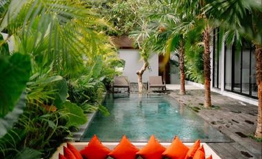Luxury Villa Baru View Sawah di Ubud, Cocok untuk Pribadi & Investasi