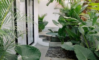 Luxury Villa Baru View Sawah di Ubud, Cocok untuk Pribadi & Investasi