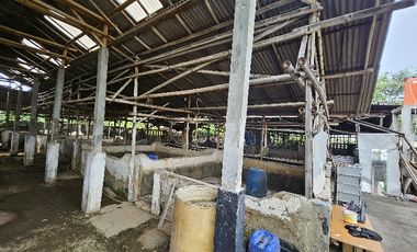 Dijual tanah dan rumah di Neglasari Tangerang