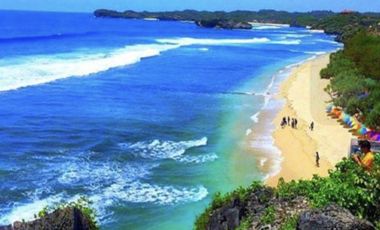 Kavling 3.84 HA Depan Pantai Indrajanti, Jogja Untuk rest area, SPBU