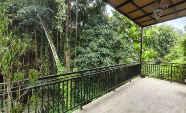 For Sale Villa dengan Pemandangan Tanaman Hijau lokasi Ubud