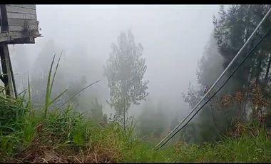 Dijual Tanah + Rumah dengan view cantik di Tosari Bromo