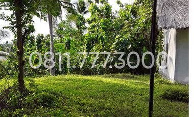 Villa Keluarga - Nyaman - Tenang di Pantai Batu Karas Pangandaran