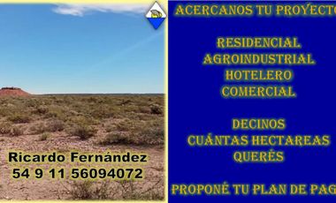 INVERSIÓN EN VACA MUERTA