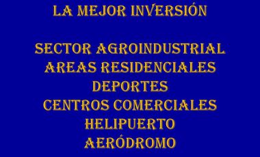 INVERSIÓN EN VACA MUERTA