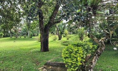 Dijual Villa Gadog Cipanas