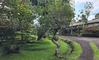 Dijual Villa Gadog Cipanas