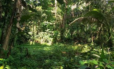 DIJUAL TANAH KAVLING MURAH LOKASI SANGEH ABIANSEMAL BADUNG BALI