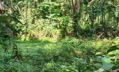 DIJUAL TANAH KAVLING MURAH LOKASI SANGEH ABIANSEMAL BADUNG BALI