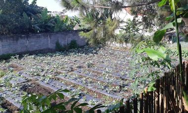 Dijual murah tanah di Kota  Lembang