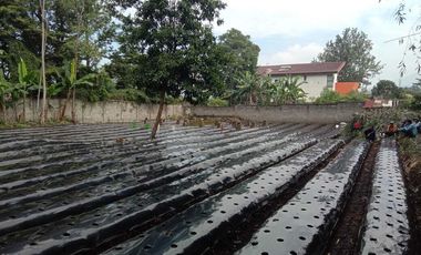 Dijual murah dab strateigis tanah di lembang