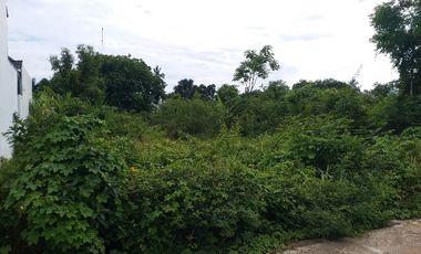 jual tanah di luengbata 465m
