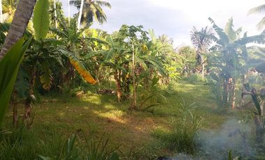 jual tanah desa luthu laweu aceh besar