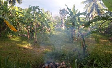 jual tanah desa luthu laweu aceh besar