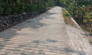 JUAL TANAH KULONPROGO DEKAT CALON KAMPUS ATMAJAYA