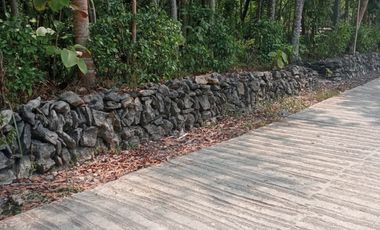 JUAL TANAH KULONPROGO DEKAT CALON KAMPUS ATMAJAYA