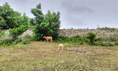 Tanah MURAH Lingkungan Villa Jl Gayang Sari Kutuh