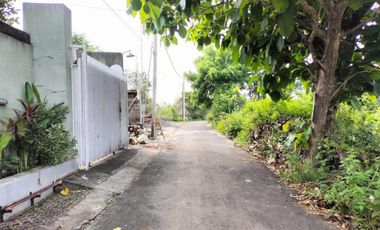 Tanah MURAH Lingkungan Villa Jl Gayang Sari Kutuh