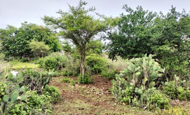 Tanah MURAH Lingkungan Villa Jl Gayang Sari Kutuh