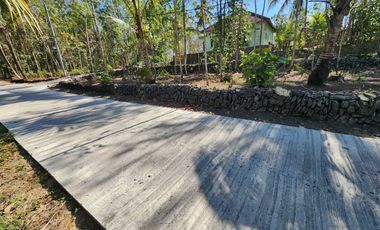 JUAL TANAH KULONPROGO DEKAT CALON KAMPUS ATMAJAYA