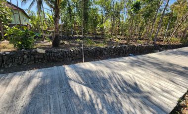 JUAL TANAH KULONPROGO DEKAT CALON KAMPUS ATMAJAYA