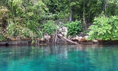 For  Lease Land Raja Ampat Papua Barat  1 Hektare
