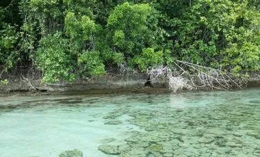 For  Lease Land Raja Ampat Papua Barat  1 Hektare