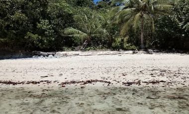 For  Lease Land Raja Ampat Papua Barat  1 Hektare