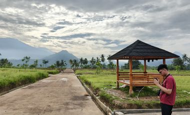 Jual Tanah Murah Di Bogor Legalitas Lengkap Dekat Cileungsi jonggol