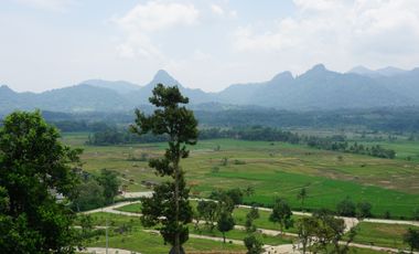 Jual Tanah Murah Di Bogor Legalitas Lengkap Dekat Cileungsi jonggol