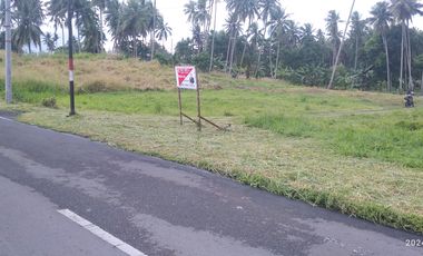 Dijual murah tanah di kawasan industri Bitung dekat laut Tanjung Merah