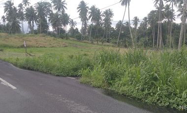 Dijual murah tanah di kawasan industri Bitung dekat laut Tanjung Merah