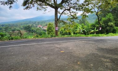 Komersial Area. Dayurejo Prigen Pasuruan