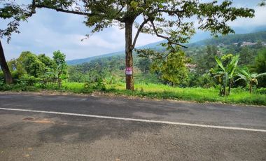 Prigen. Pasuruan. Dayurejo. Komersial area