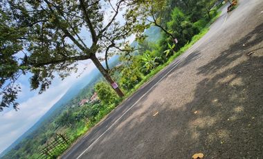 Prigen. Pasuruan. Dayurejo. Komersial area