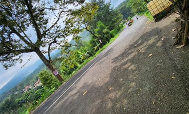 Prigen. Pasuruan. Dayurejo. Komersial area