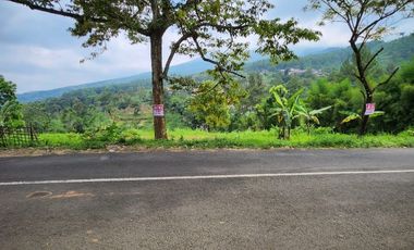 Prigen. Pasuruan. Dayurejo. Komersial area