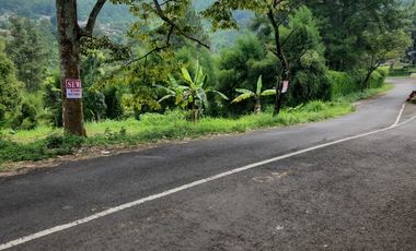 Prigen. Pasuruan. Dayurejo. Komersial area